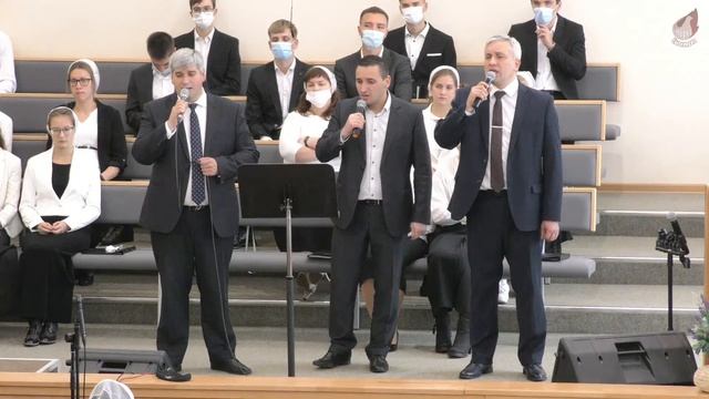 Тополя, тополя, тополя... пора аистов в небе бездонном... 10.10.2021
