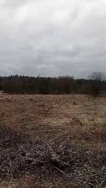 д.Желомеено 50-18-0050407-1225