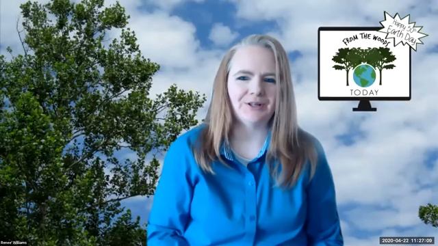 How to Plant Trees - From The Woods Today - Episode 3