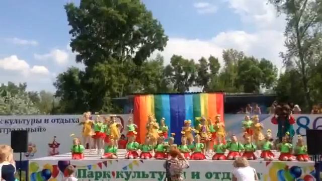 пчёлы 2
