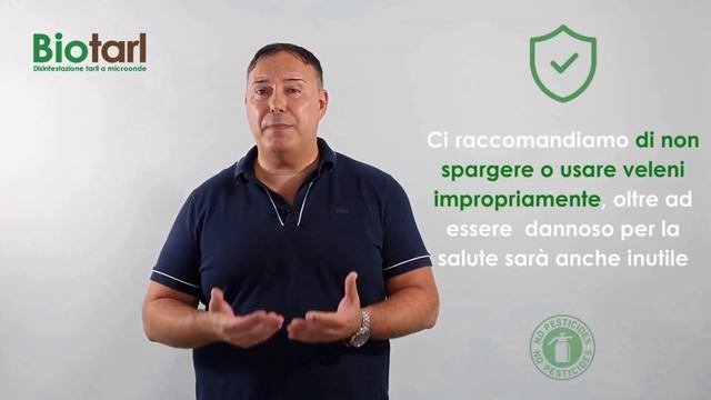 Problemi Con Acaro Del Tarlo Del Legno?  Scopri Come Riconoscerlo Ed Eliminarlo Definitivamente