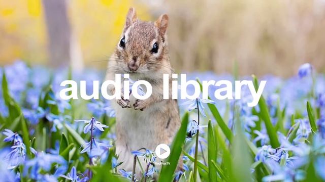 Malmo Sunrise - The 126ers | No Copyright Music YouTube - Free Audio Library
