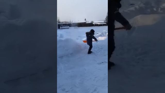 выходные у бабушки