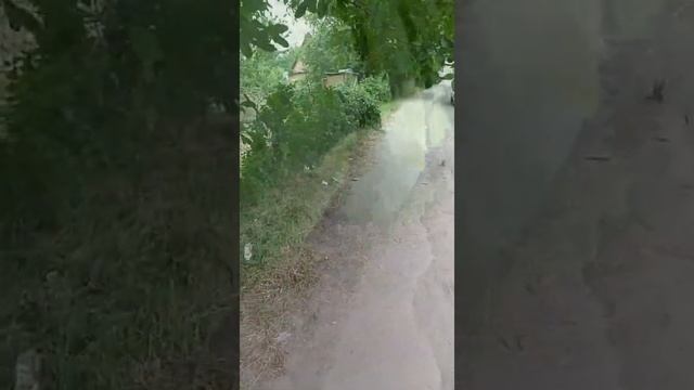У нас БУДЕТ ПОРЯДОК. Когда?
