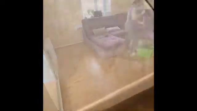 Швабра с центрифугой ГринВей