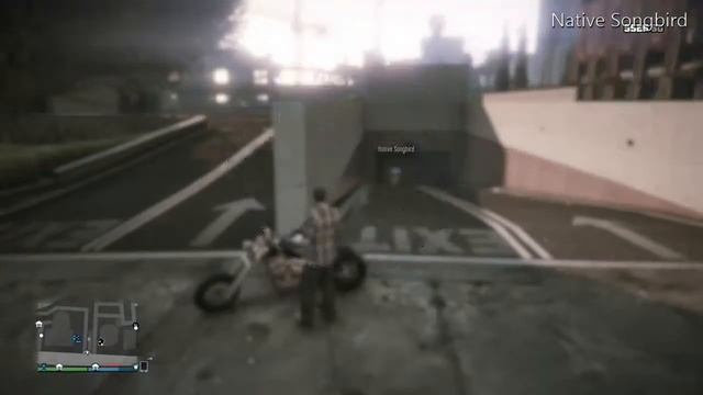 GTA 5 |¦| Natives MC trash!