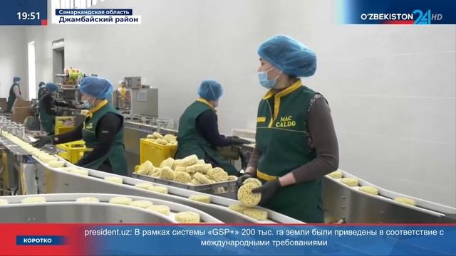 Деятельность предприятия по производству молочной продукции в Джамбайском районе