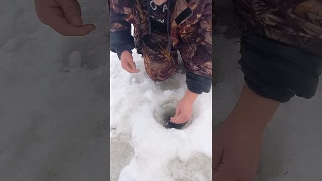 Щука на живца , густеру ... 3 кг