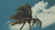Grand Cayman - The Anchorage