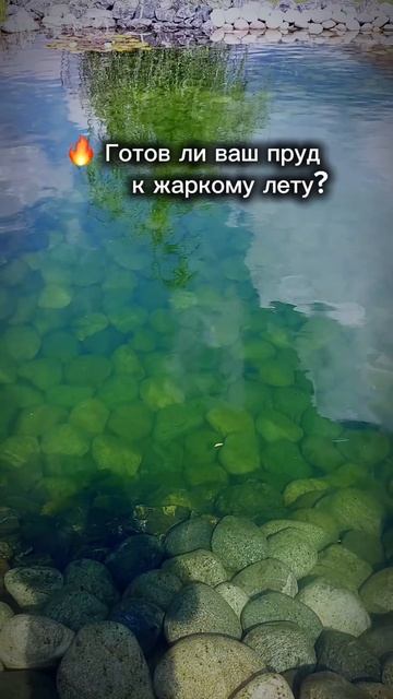Строительство прудов | компания EcoPond | весенний запуск пруда | чистка пруда | пруд под ключ
