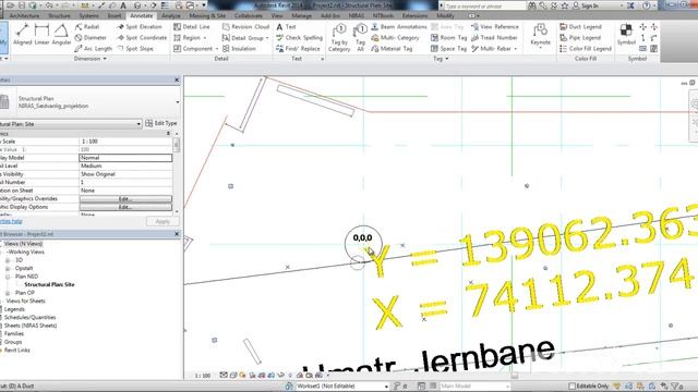 Link Surveyor DWGs into Revit and acquire its coordinates