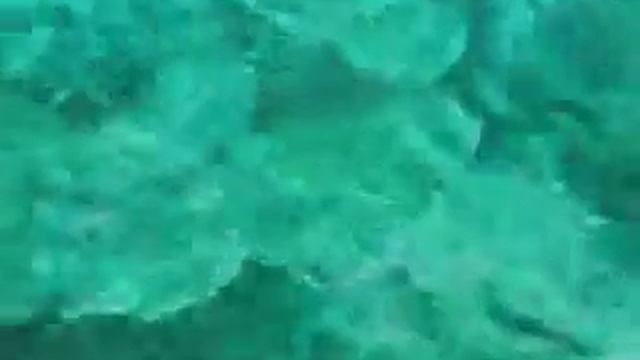 Diving at the West Coast of Phuket