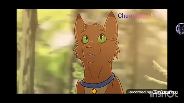 Коты Воители клип: Замкнутыми стенами.