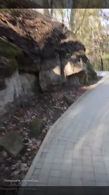 1000055431.mp4
