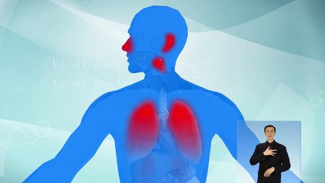 Вакцинация-надежная защита. Профилактика гриппа и ОРВИ