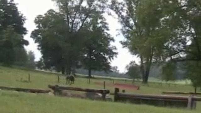 King Cephus Cross Country 2009
