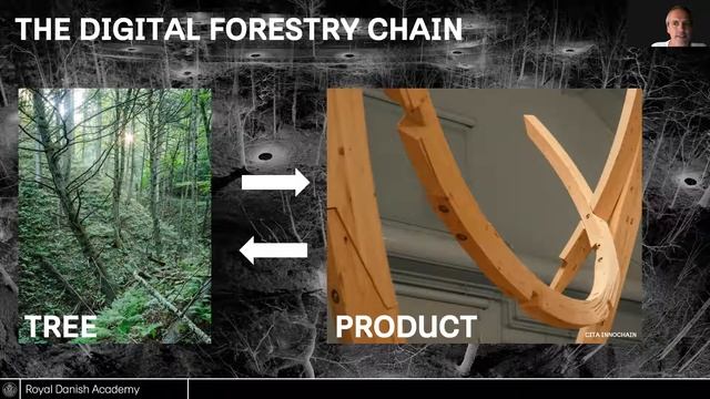 Timber elements with graded performances through digital forest to timber workflows