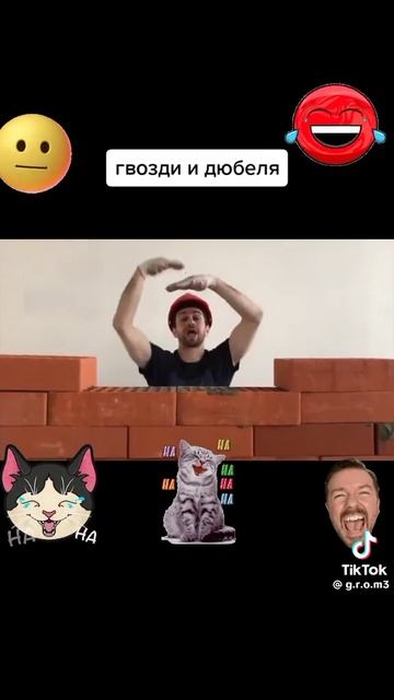 Роман крыса