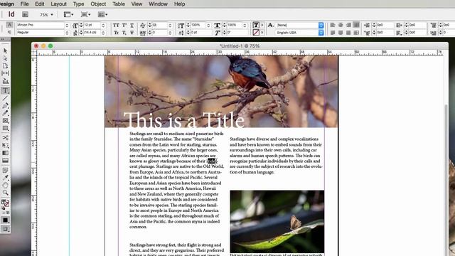 InDesign: Readability & Alignment, Orphans, & Widows