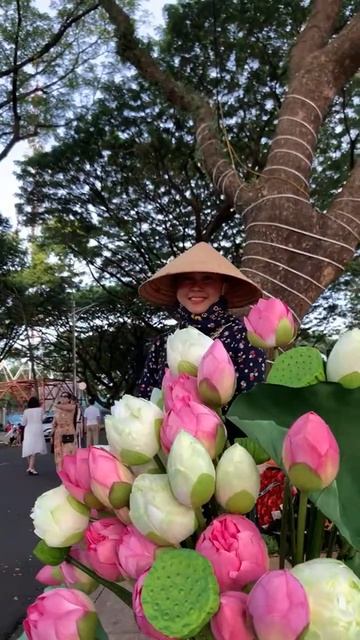 Trực tiếp_ QT Phụ Nữ | Đường dẹp nhất Phan đình Giót Đẹp Nhất Đăk Lăk.