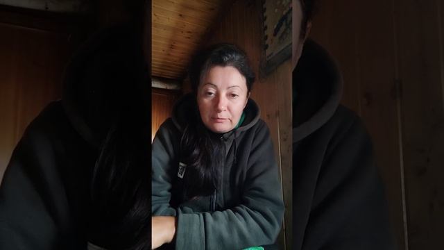 Здравница Алёны Полынь