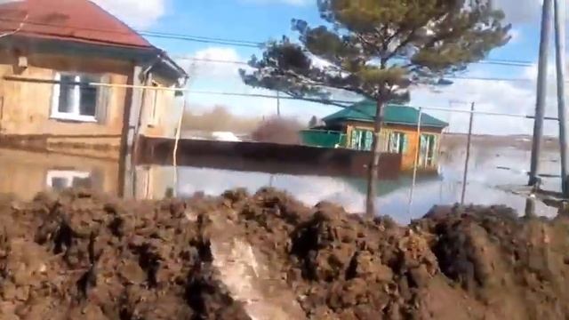 Ишим ул.Докучаева 2016 г.