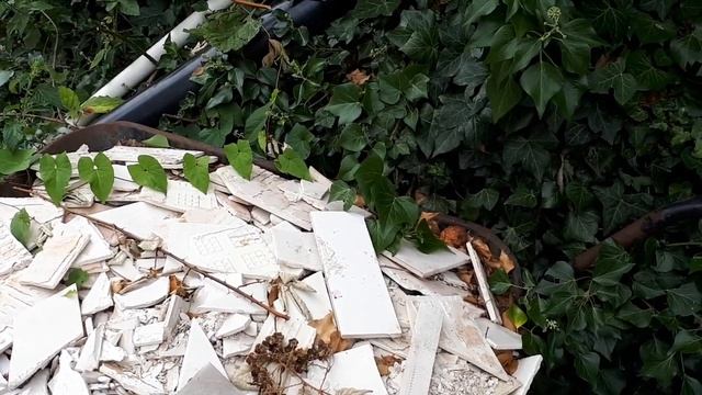 Одна из причин появления таковой болезни...