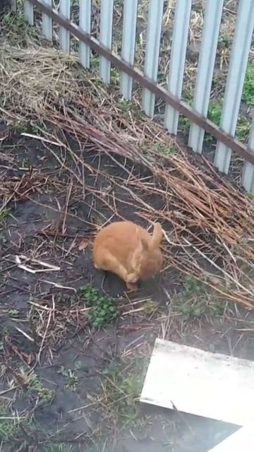 WhatsApp Video 2025-04-13 at 17.51.09