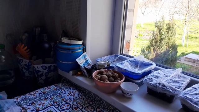 Куличи без украшения, но очень вкусные!