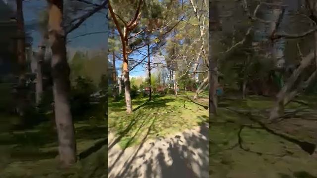 Тюляево 10