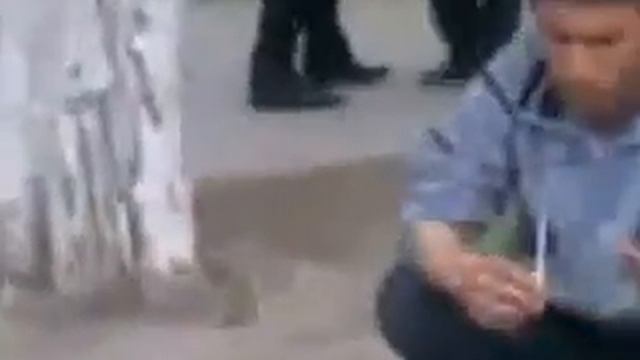 Забивает анашу перед ментами в Махачкале