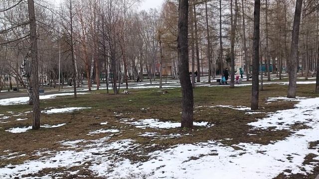 Прогулка с Тосей по парку.