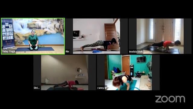 Hatha Yoga Class & Props (Online Class)