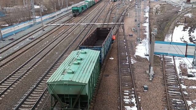 Безбилетный едет зайцем😁