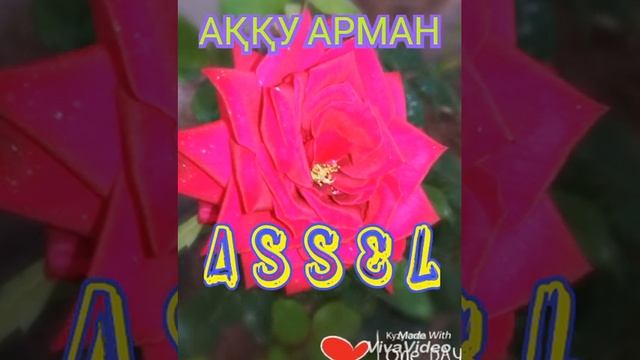 Мағыналы өлең АҚҚУ АРМАН орындаушы Әсел