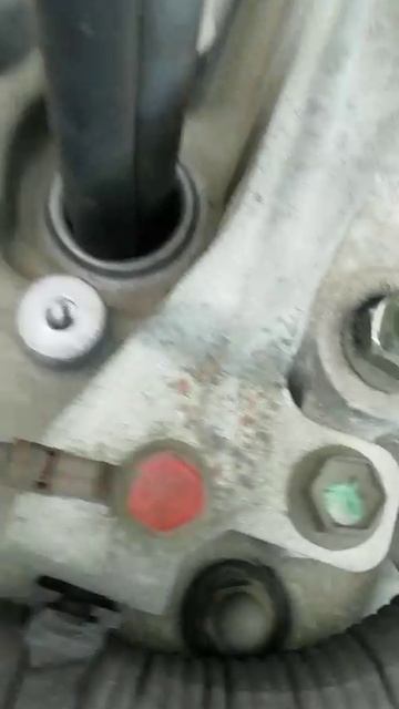 VID-20250217-WA0015
