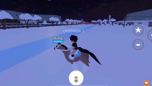 НОВОЕ ОБНОВЛЕНИЕ В HORSE VALLEY! НОВЫЕ ВЕЩИ? Как ими пользоваться??