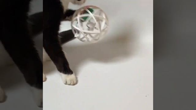 Интерактивная игрушка Динозавр в клетке с кошачьей мятой