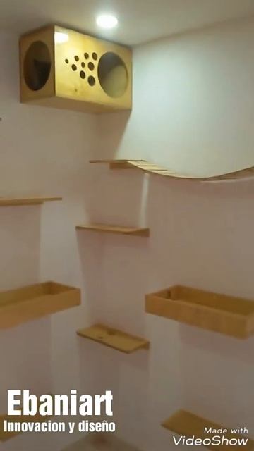 gym murales para felinos en pino fenolico