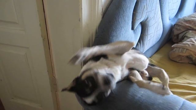 Мое измененное видео