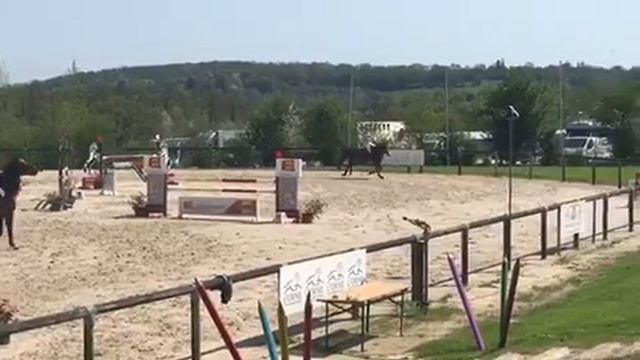Le pin amateur élite 120