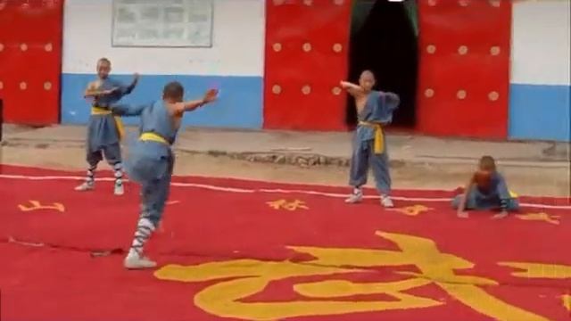 Shi De Yang School - Animal styles Shaolin Kung Fu