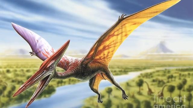 Pterodactyl Sound Effects 🦖 🔊