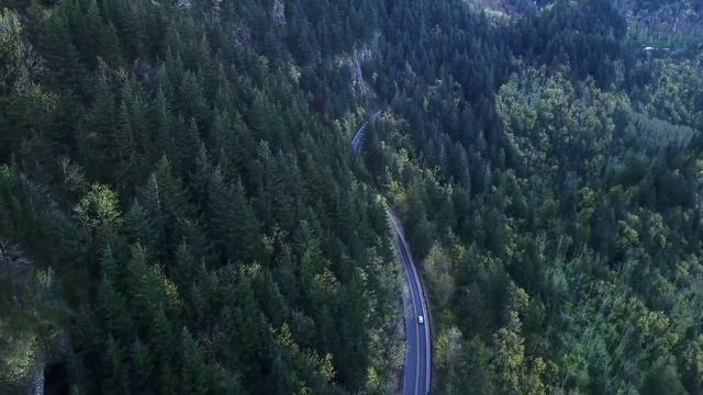 Why do we need Autonomous Driving Simulators?