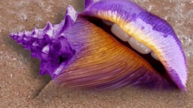 The Island of Calypso - a romantic poem by F.P.