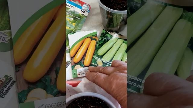 Сею поспешаю)),как бы не опоздать!)#весна #семена огурцов и кабачков#красота #