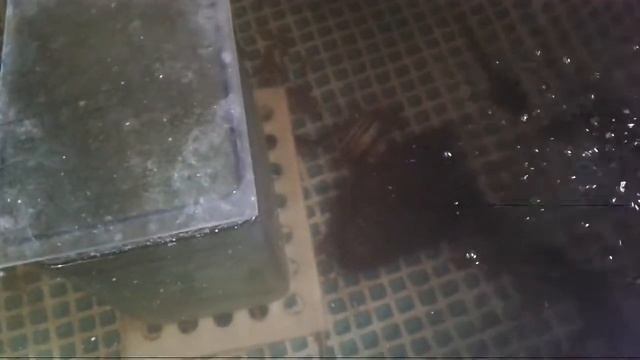 Стерлядь  как  хобби.