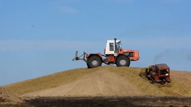 Уборка кукурузы на силос