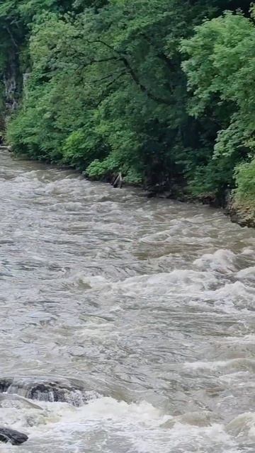 Река Белая в Адыгее 💦🌿