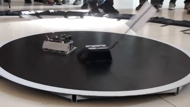 sumo